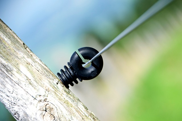 Ile polaków mieszka w Australii? Ile polaków mieszka w Australii?