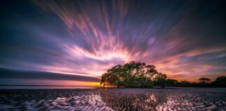 Ile kosztuje utrzymanie się w Australii?