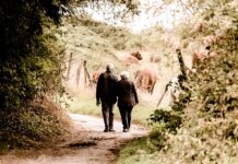 Co się wlicza do lat pracy do emerytury? Co się wlicza do lat pracy do emerytury?