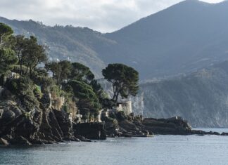 Ile kosztuje wynajem mieszkania w Stanach?